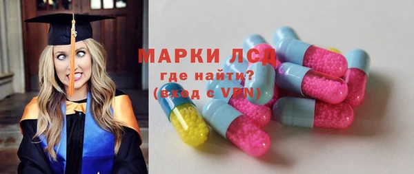 стаф Майский