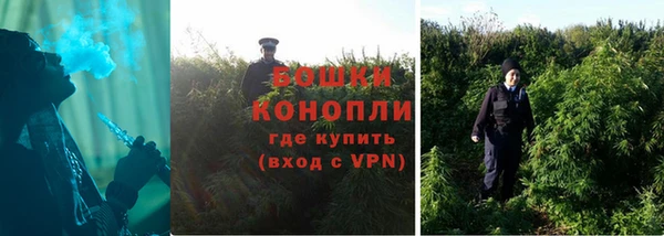 стафф Магадан
