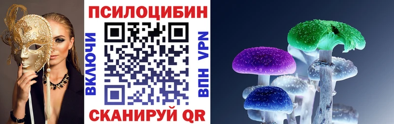 Купить  Спас-Деменск  Псилоцибиновые грибы мухоморы 